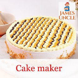 Cake maker Mrs. Sanchita Sadhu Chandra in Barjora